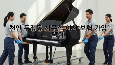 천안 두정동 사무실 이사, 보험 가입 꿀팁🍯