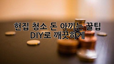 헌집 청소, 돈 아끼는 꿀팁🍯 DIY로 깨끗하게!